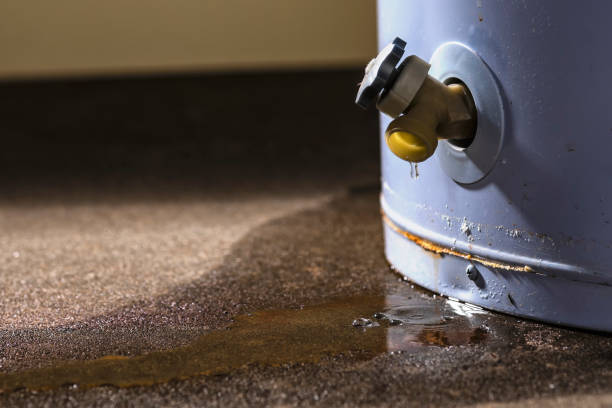 Best Flood damage cleanup  in North Terre Haute, IN