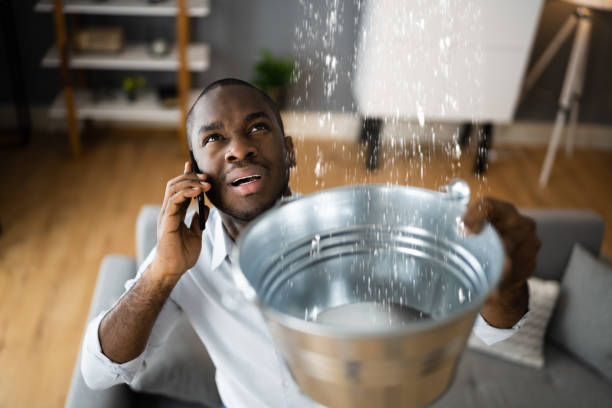 Best Local water damage restoration  in North Terre Haute, IN