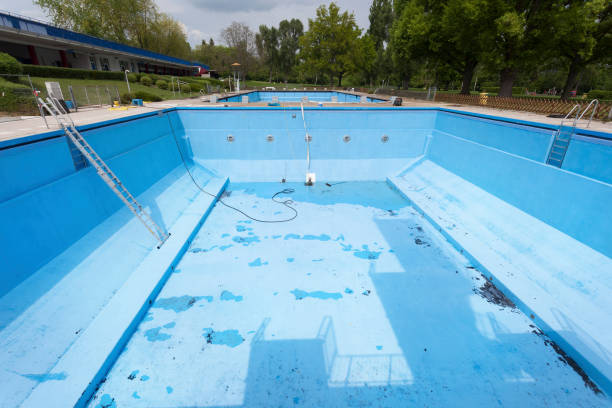 Best Flood damage cleanup  in North Terre Haute, IN