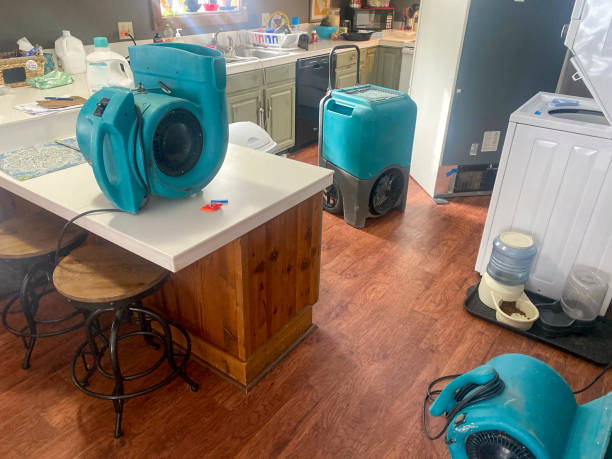 Best Water damage contractors near me  in North Terre Haute, IN