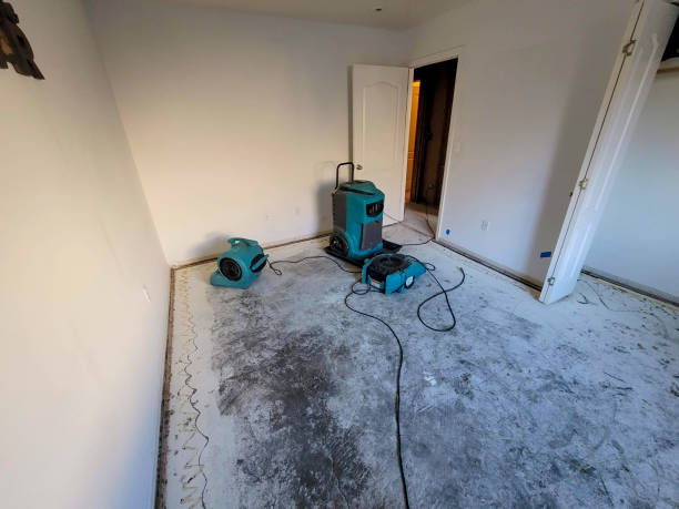 Best Ceiling water damage repair  in North Terre Haute, IN