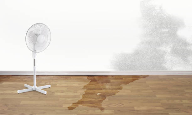 Best Emergency water damage restoration  in North Terre Haute, IN
