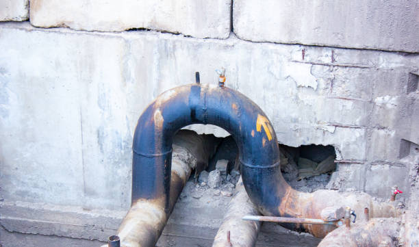 Best Mold removal after water damage  in North Terre Haute, IN